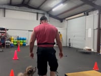 Transforming Tails: Engaging Training Sessions at K9 Nation