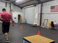 Transforming Tails: Engaging Training Sessions at K9 Nation