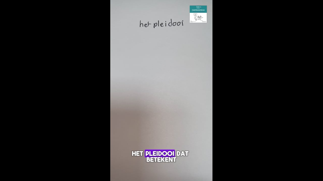 Pleidooi (het)