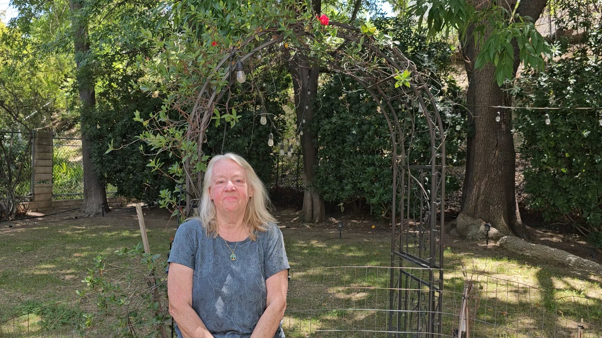 Cynthia Riddle - pitch video