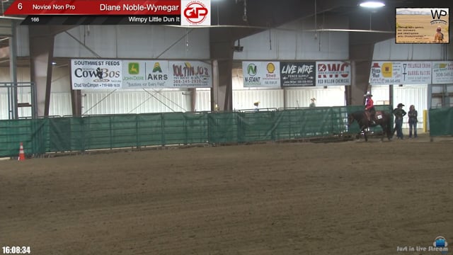 #166 Diane Noble-Wynegar (2)