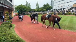 動画サムネイル