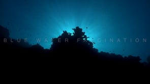 1093_Coral reef silhouette with hard corals