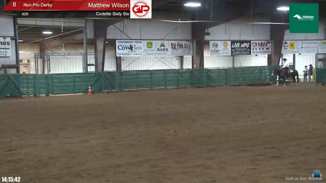 #629 Matthew Wilson
