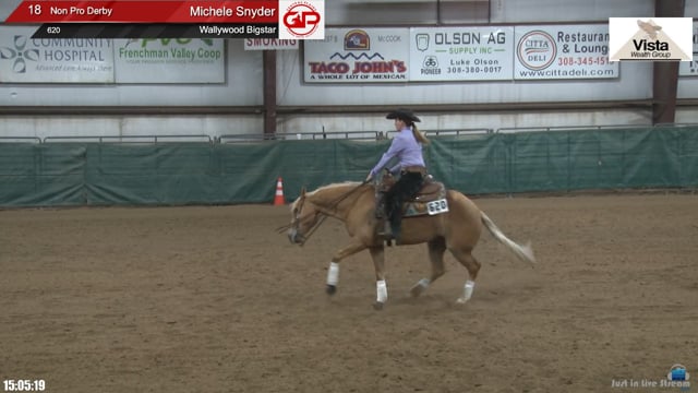 #620 Michele Snyder