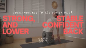 Reconnecting to the Lower Back