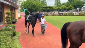 動画サムネイル