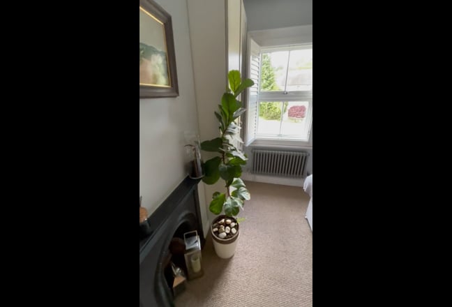 Little cottage share Main Photo