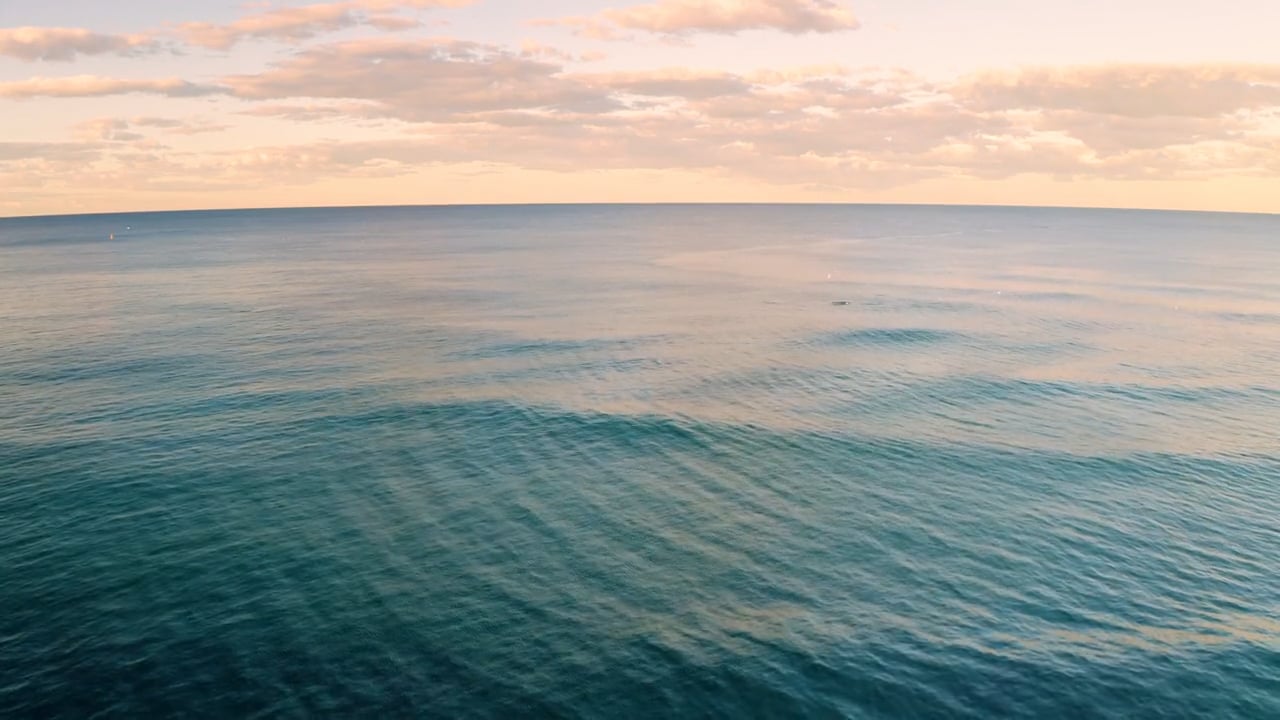 https://i.vimeocdn.com/video/2019507210-b8c65cc7b10bc0083f00b08bebfbc8b83e6dd10f2581201e1eb765a591939121-d