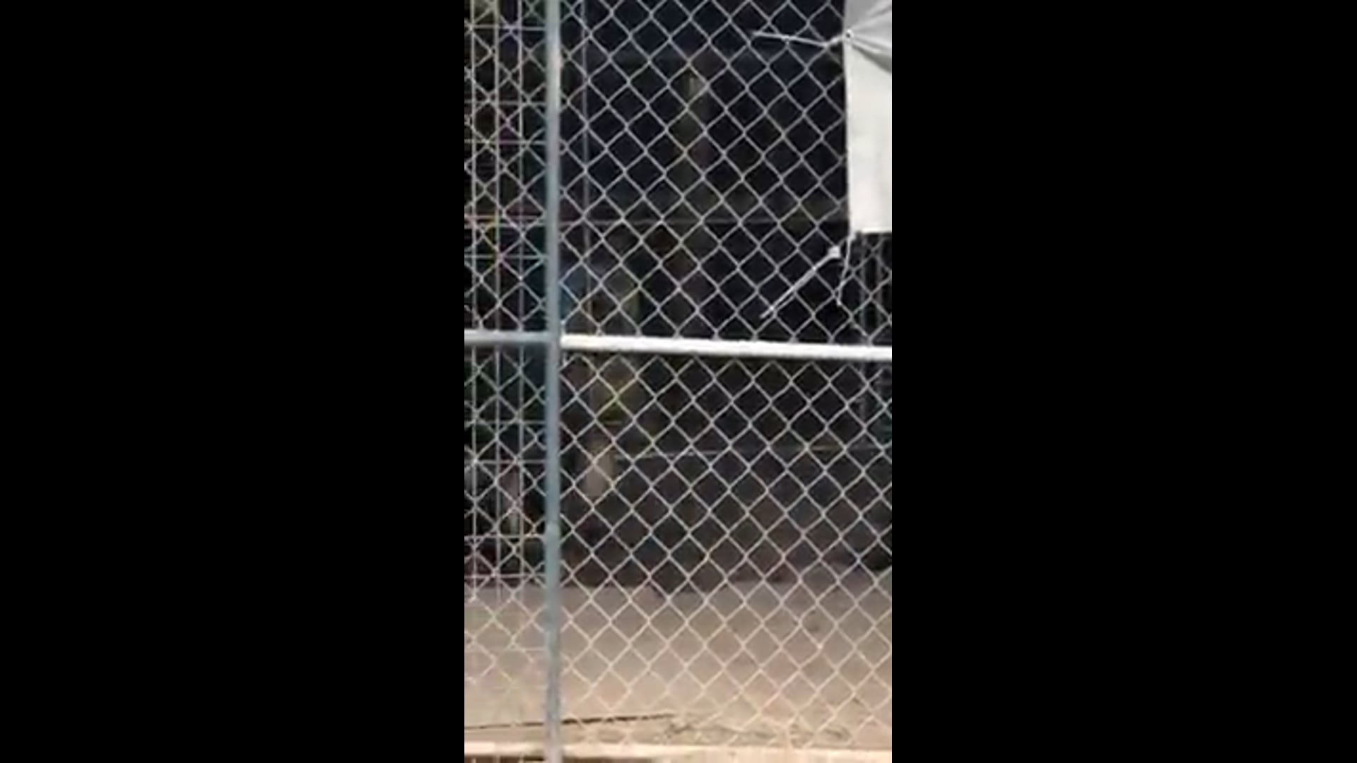 Texas Ranch- The Old Tarp City