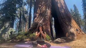 Tap Into the Present ~ Meditation