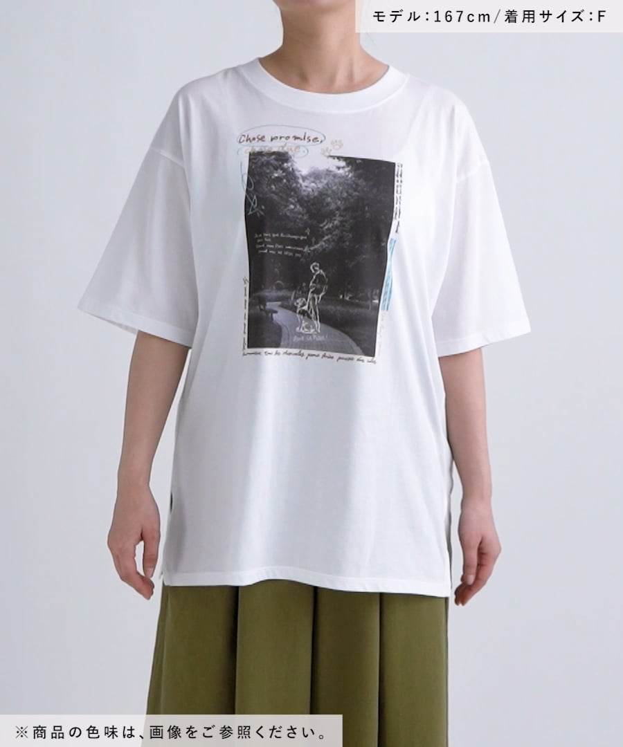 アソートフォトスケッチTシャツ | [公式]スタディオクリップ（studio