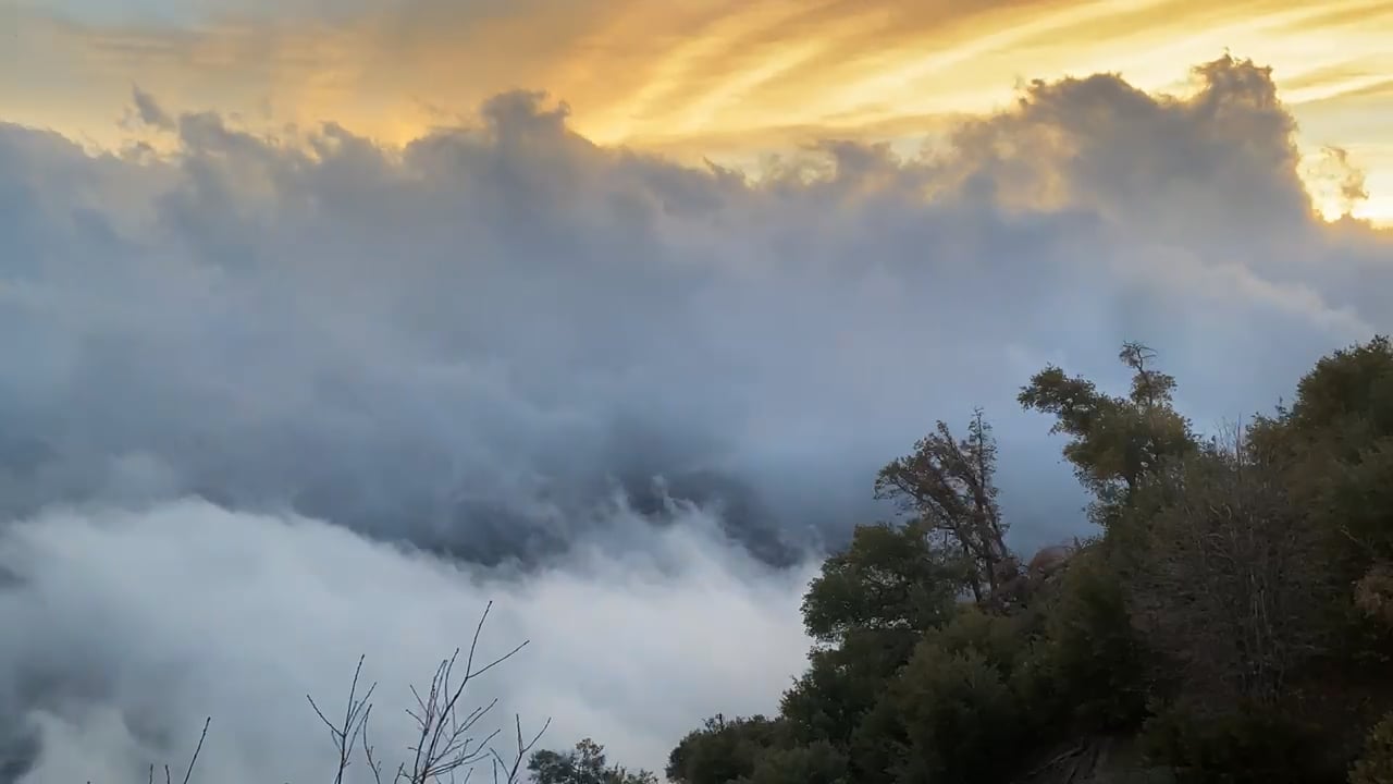 https://i.vimeocdn.com/video/2019648153-ed9102ac253d0dd15cb7f74c3f419c872b202c0c8bc3d8819d6b094049b00aec-d