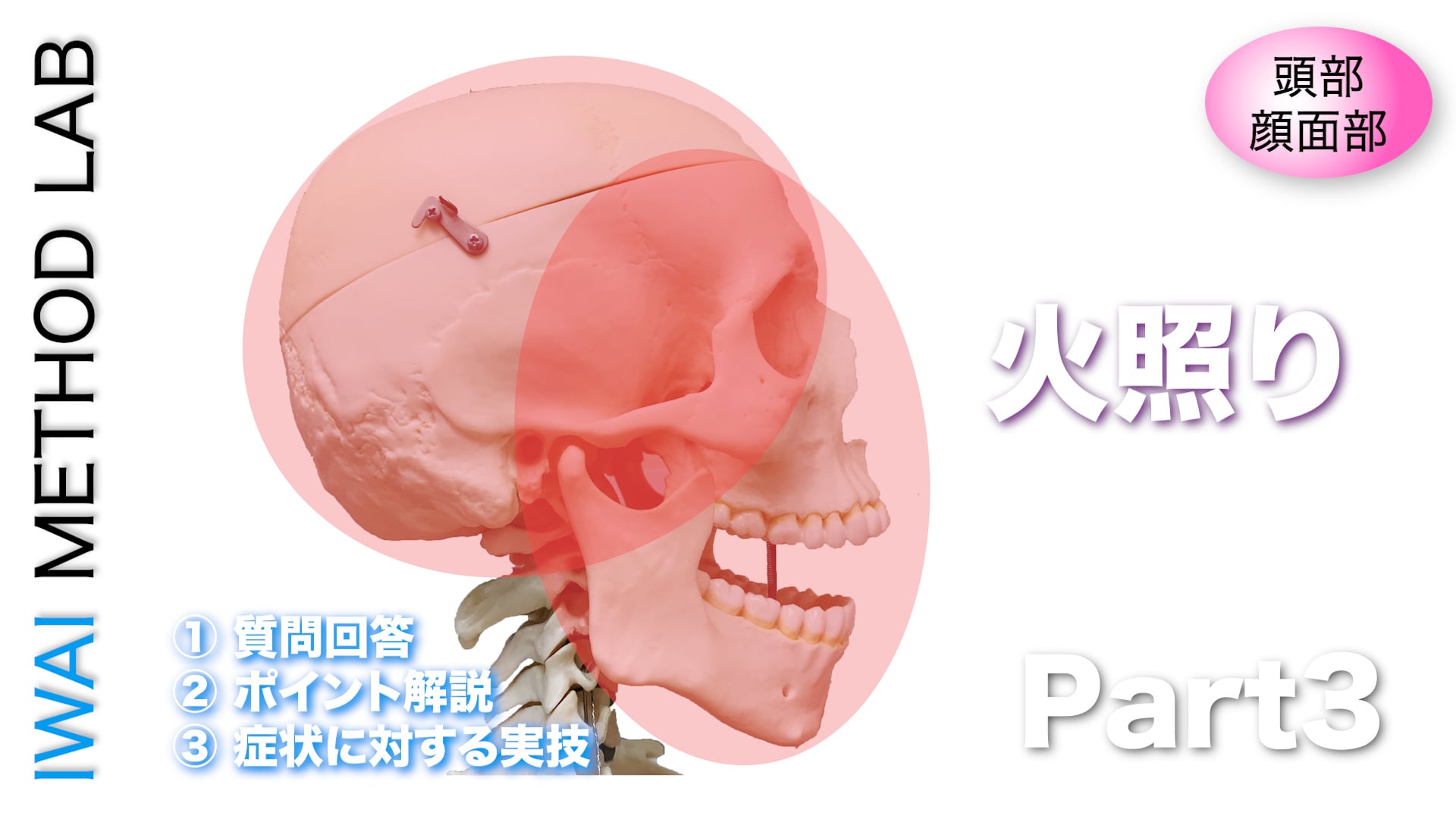 オンライン実技講習：頭部・顔面部におこる問題の原因と対処法 Part.3