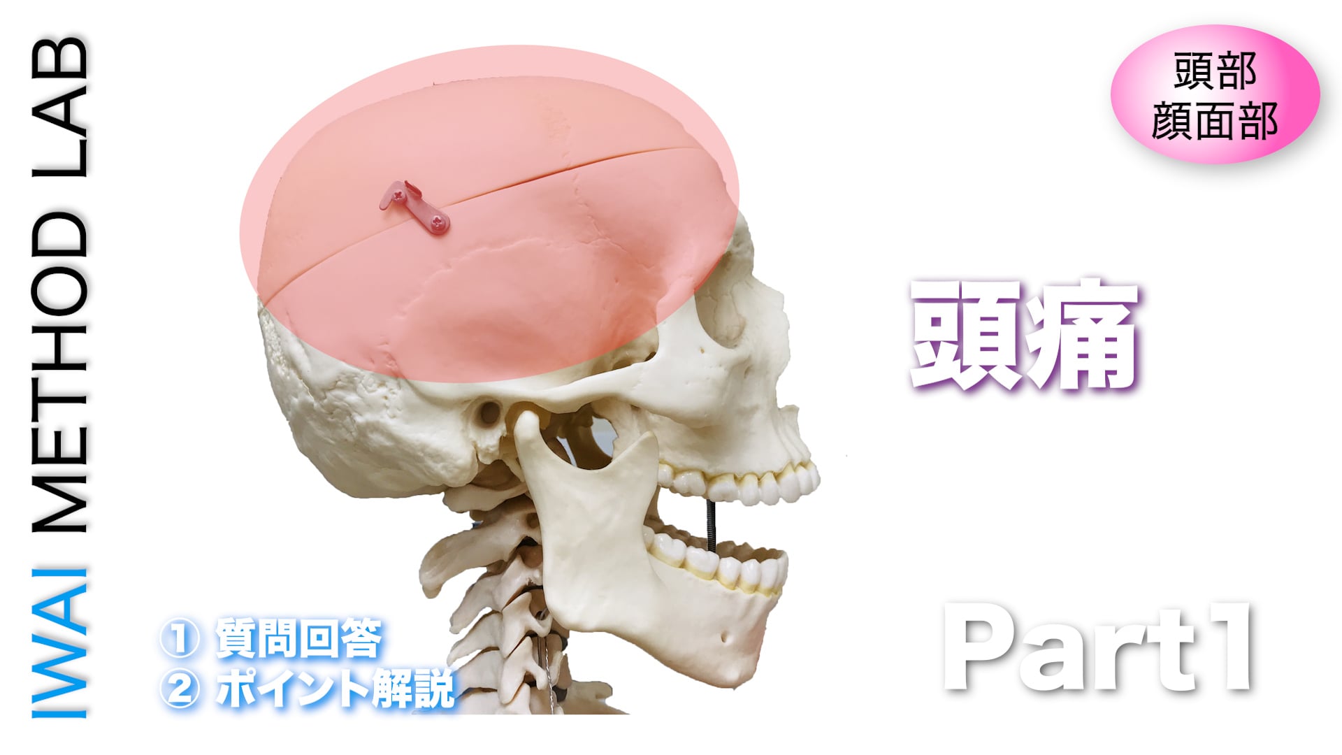 オンライン実技講習：頭部・顔面部におこる問題の原因と対処法 Part.1