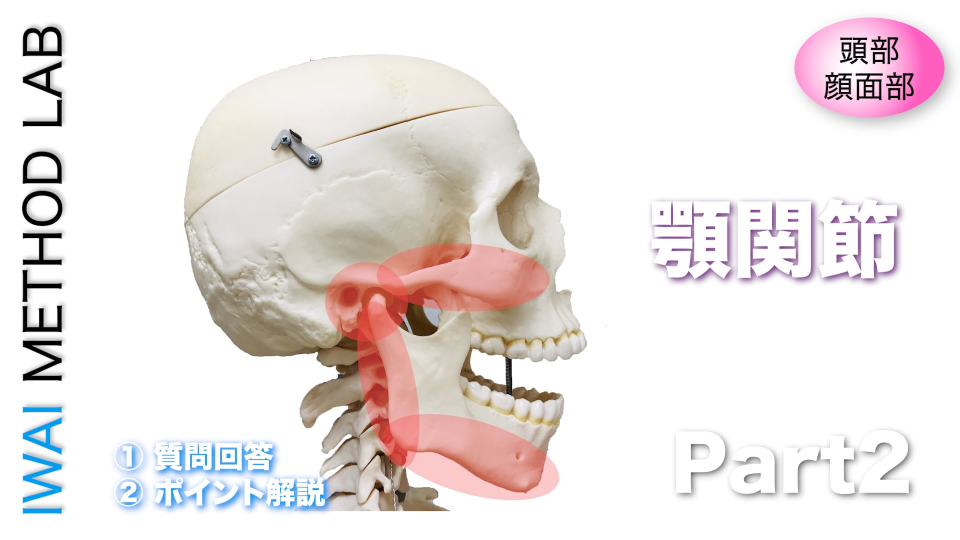 オンライン実技講習：頭部・顔面部におこる問題の原因と対処法 Part.2