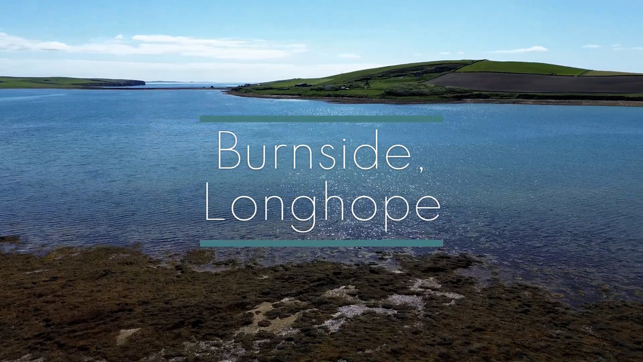 Burnside new