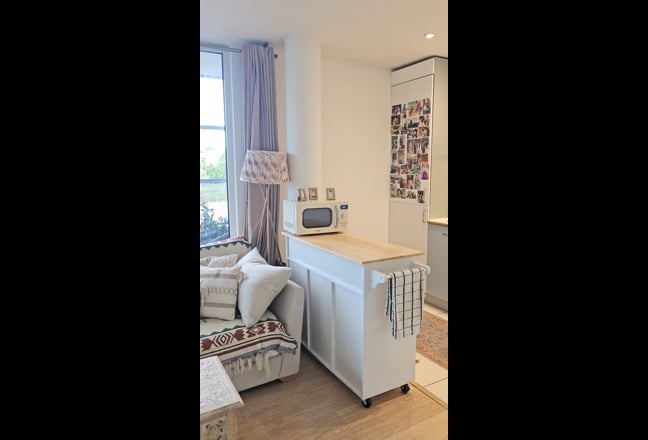 Luxury North London Apatment Main Photo
