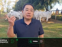 Convite Gilson Katayama