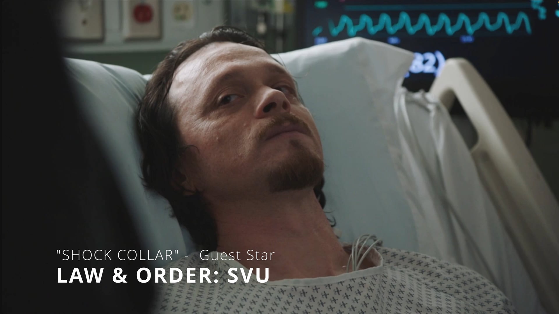 LAW & ORDER: SVU