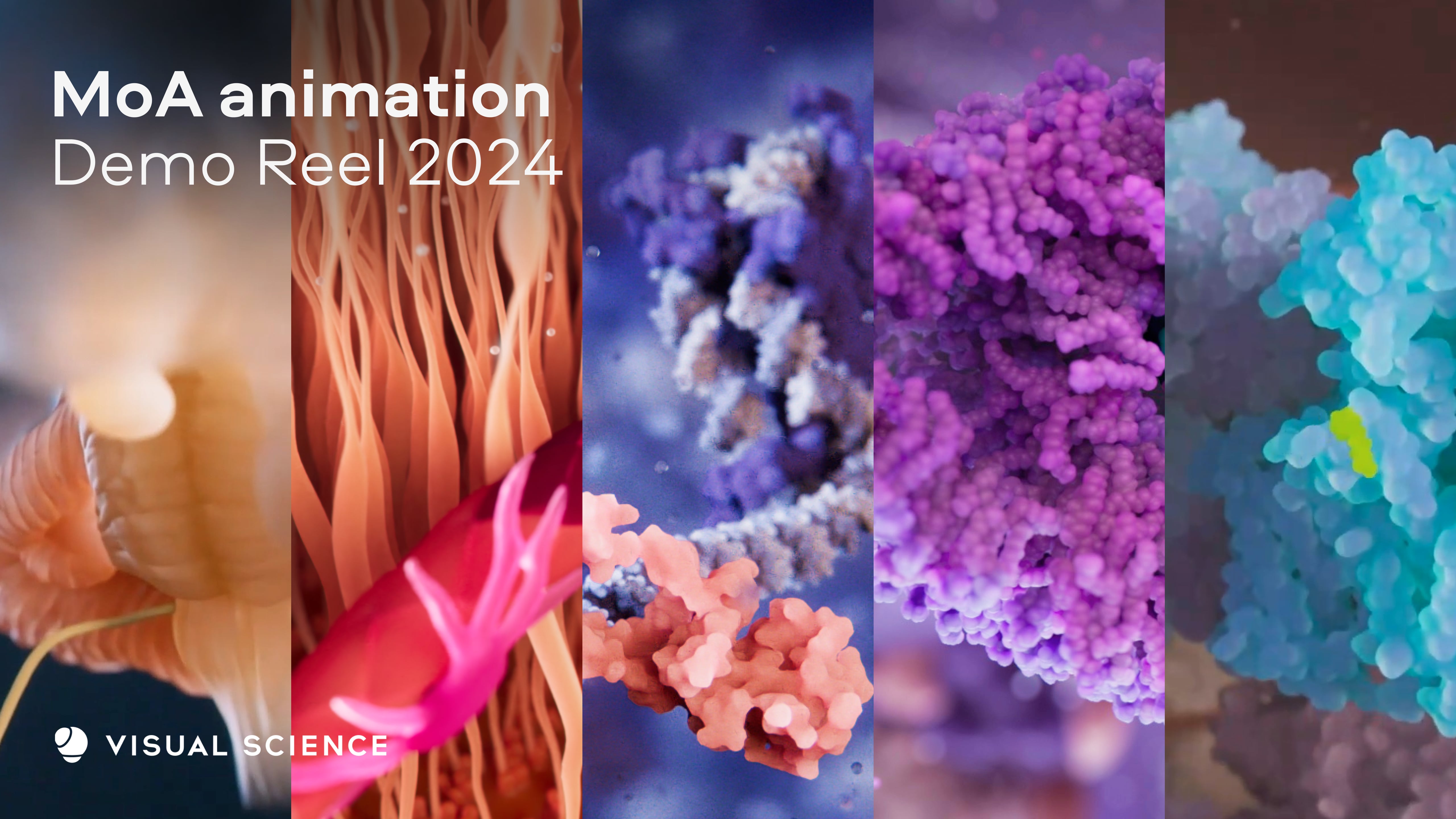 Visual Science Reel | Videos & Movies on Vimeo
