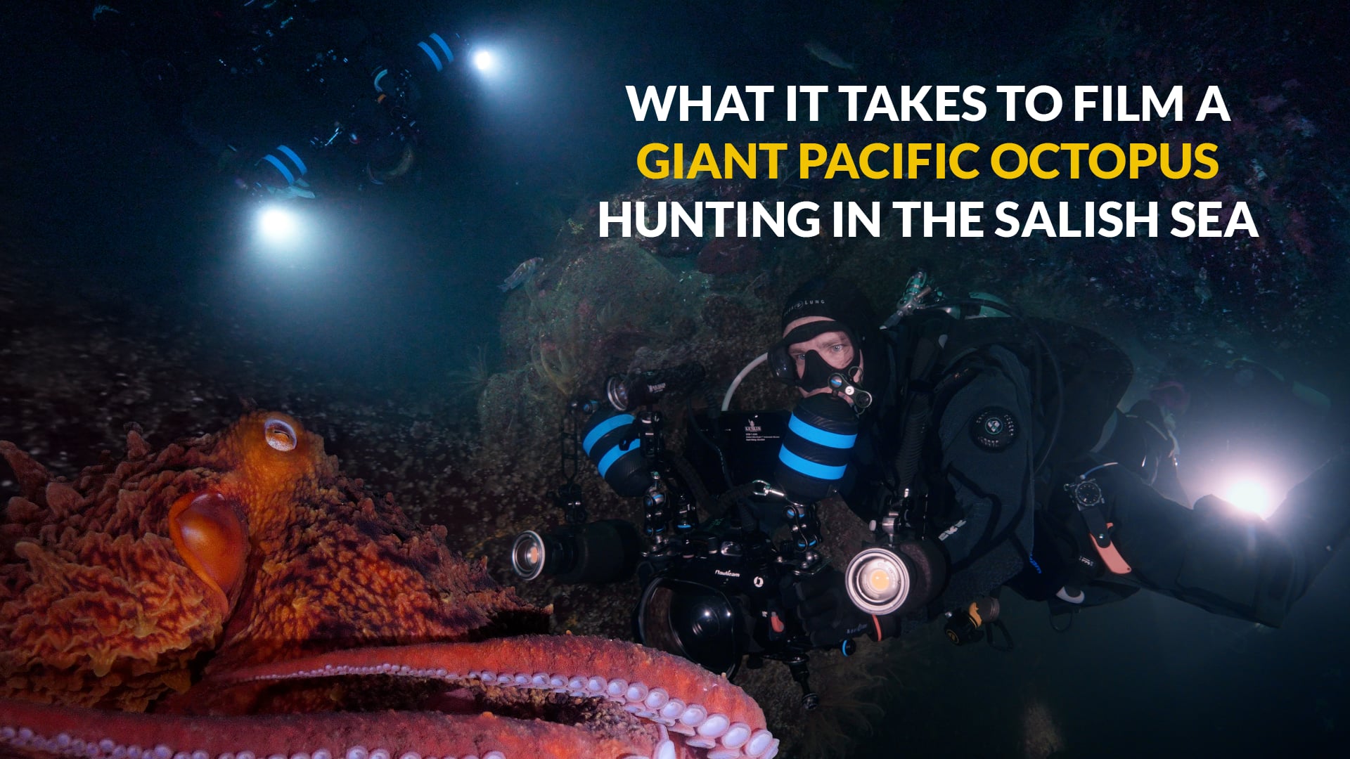 Filming the Deep: Giant Pacific Octopus | Presented by KrakenSports