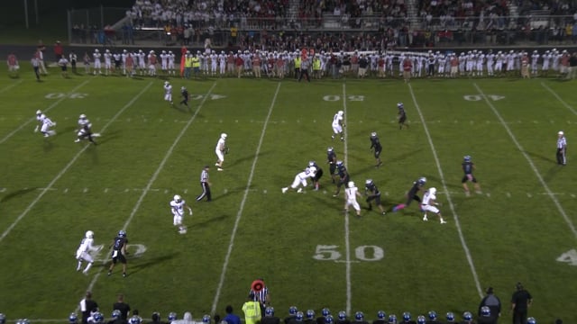 Catch or No Catch What Officials Look for When the Ball Is Close to the Ground