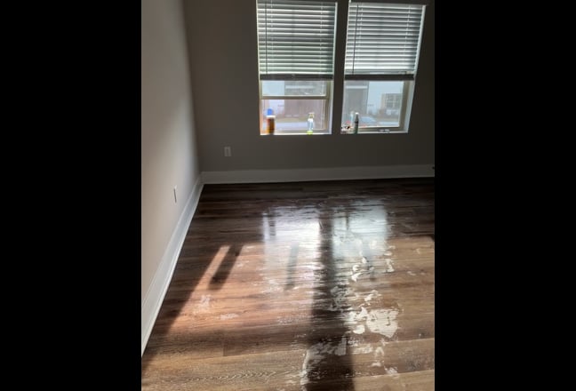 Female Adult Roommate Wanted: $900 monthly. Main Photo