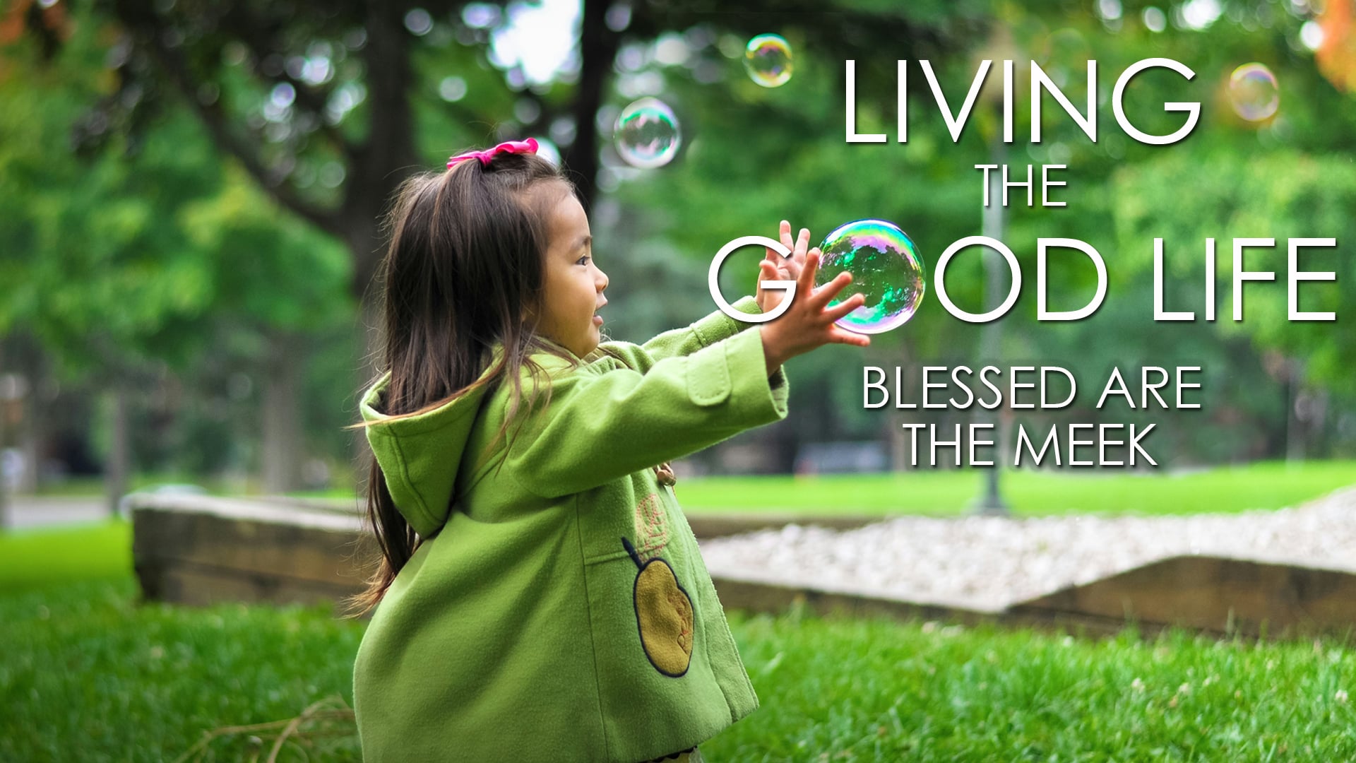 Blessed are the Meek