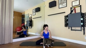 Sweaty Intermediate Pilates Mat Flow - featuring Roger the cat!