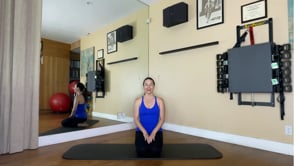 Beginner 30 minute flow - oblique focus