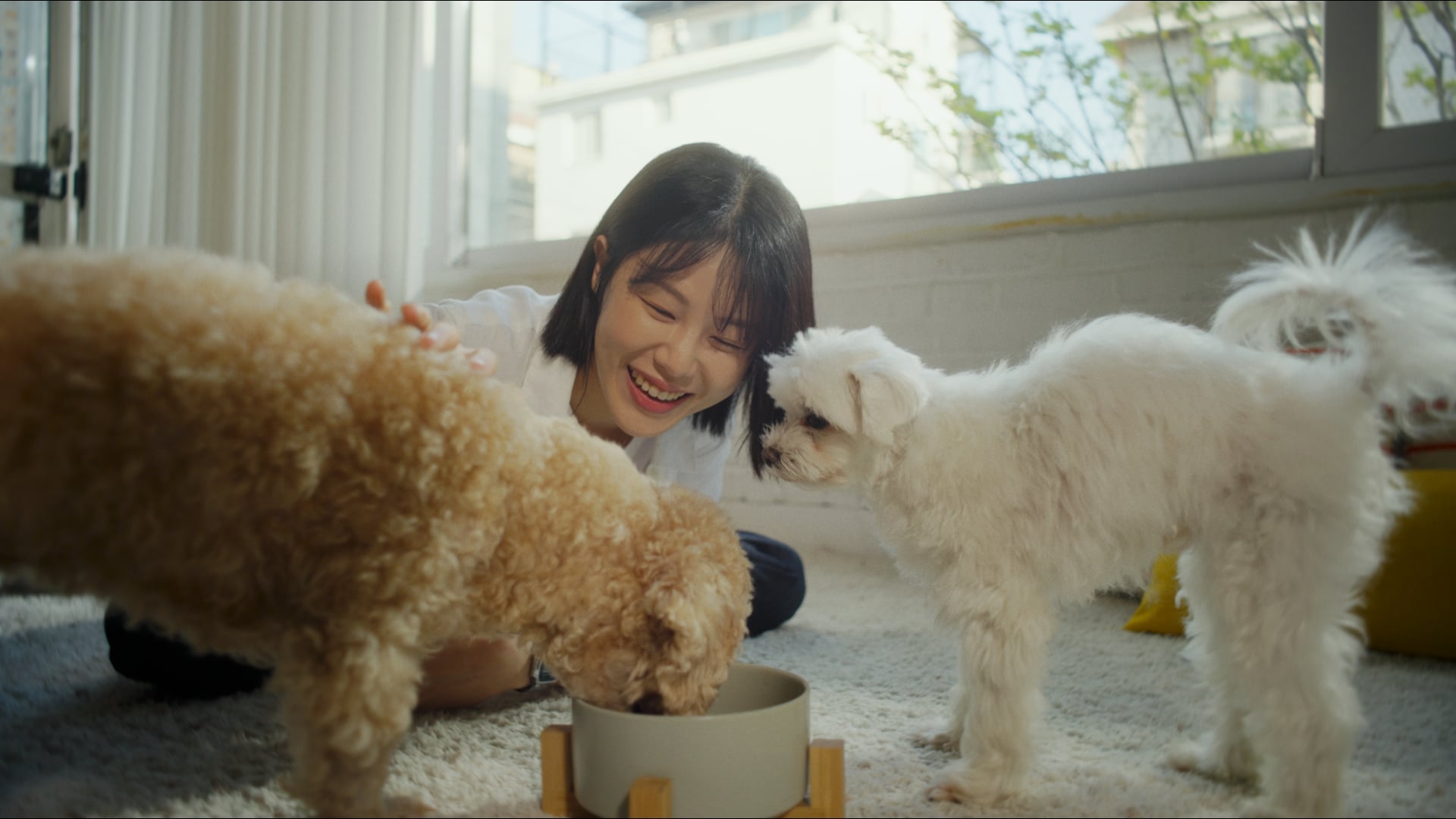 쿠팡 로켓펫닥터