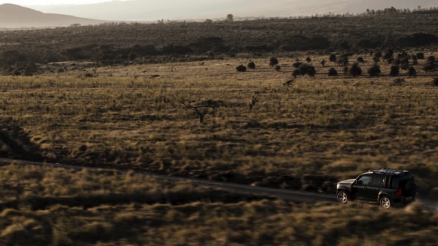 Rhino Whisperer