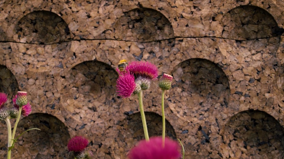 Bloom 2025 — Circular Economy Garden :Circular economy garden design ,Sustainable garden design, Circular economy garden