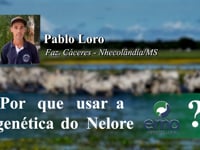 Depoimento Pablo Loro<br>Fazenda Cáceres