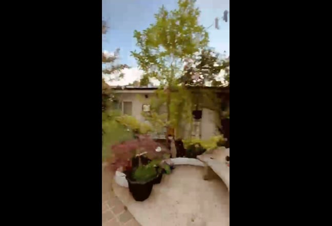 Video 1: 