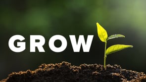 5.25.2025- GROW: Walk Worthy