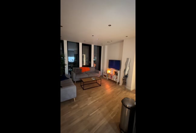 Double bedroom in 2 bed 2 bathroom SE1 apartment  Main Photo