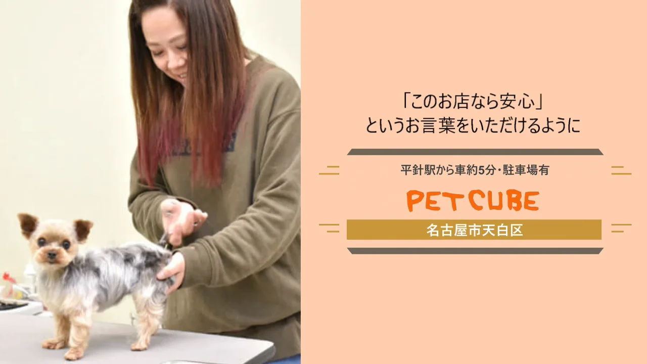 PET CUBE（ペットサロン・トリミング）｜愛知県名古屋市天白区｜EPARK