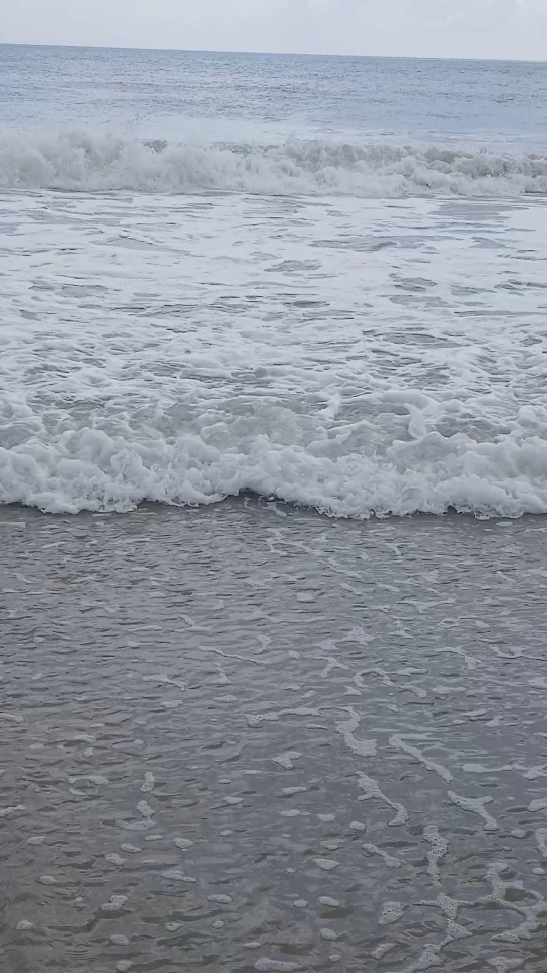 https://i.vimeocdn.com/video/2020426451-b08550d5ea18d7a71671ae860fbe549e68ad1870d8fb96be1bb810cdb49263f1-d