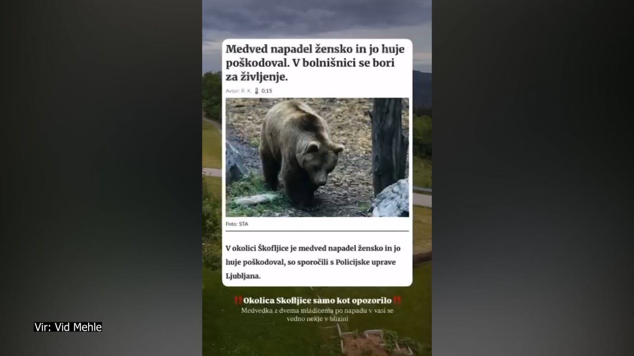 Imamo posnetek medvedke, ki je včeraj napadla žensko