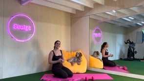 Related Embedded Video Item Thumbnail