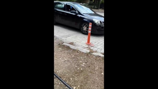 Η Δ. Βαρβαρήγου για τη θανάτωση χελώνων στο δάσος Κάσδαγλη στην Πεύκη Αττικής 27-5-2025