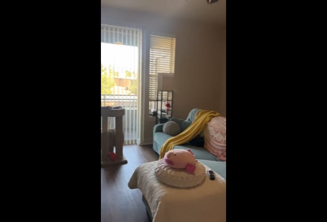 Roomie Wanted- Arvada Ridge Apts Main Photo