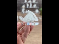 WhatsApp Video 2025-05-28 at 11.31.21-2