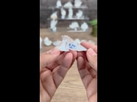 WhatsApp Video 2025-05-28 at 11.31.21