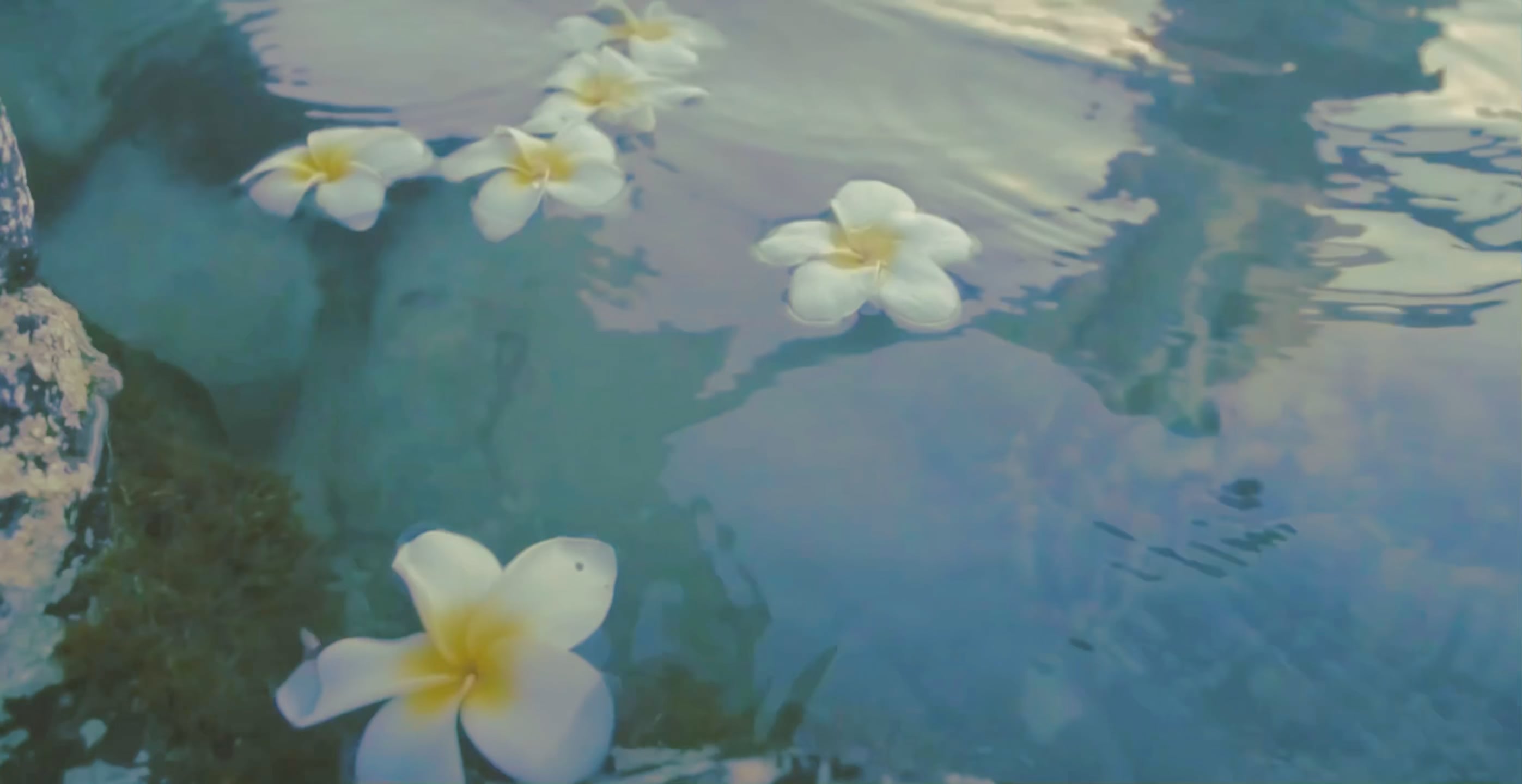https://i.vimeocdn.com/video/2020736044-b8e759e60ec742eb3c97c45769519ecbe7395601cdf0d0a584d40ed06e31c954-d
