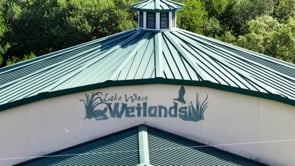 Images of Waco: Summer at the Waco Wetlands