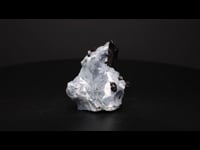 78981 - Neptunite