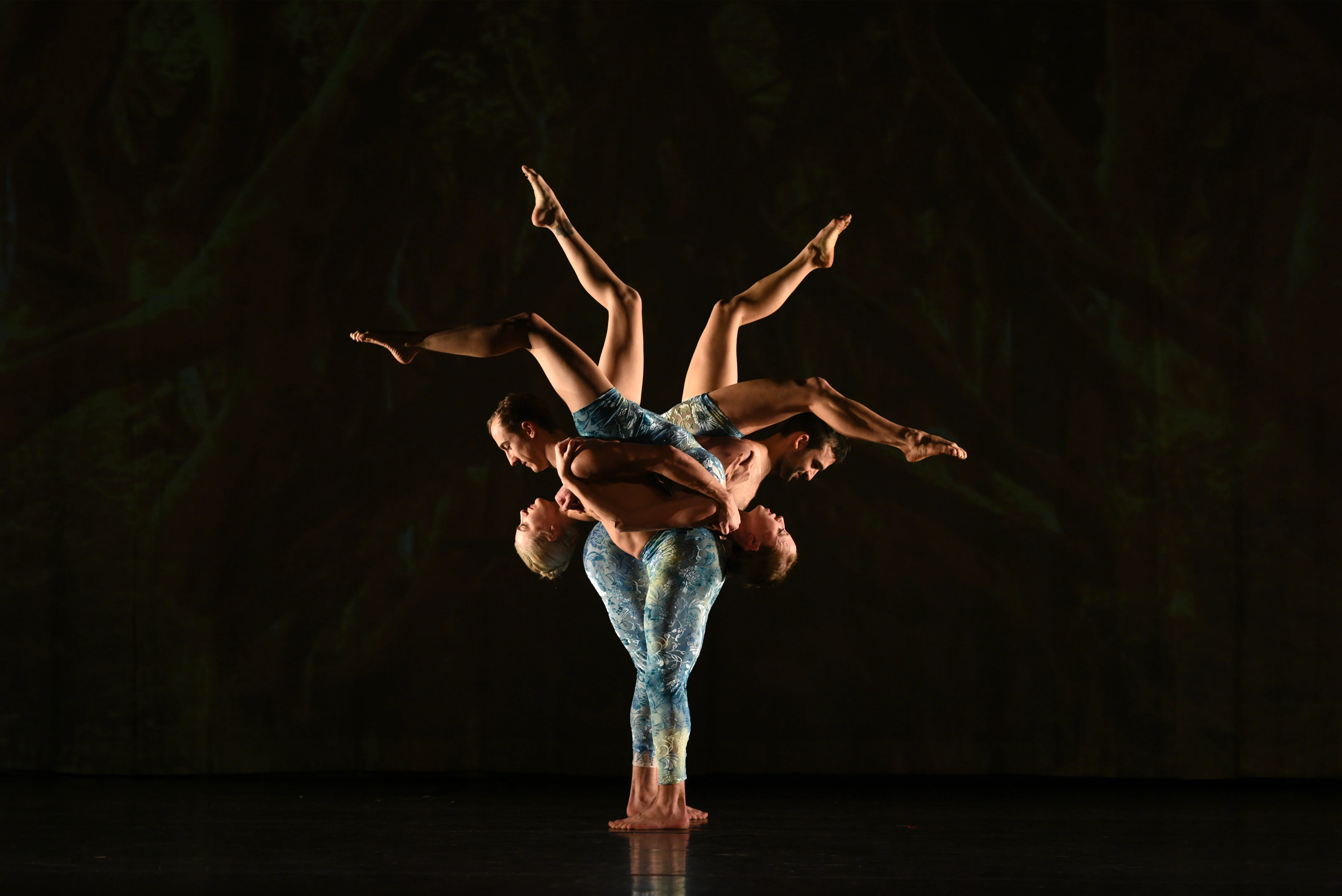 リーフィア　グレイシア　パチリス　コリンク　ミミロル MOMIX: Alice in Wonderland at The Soraya – A Dazzling Dance Spectacle